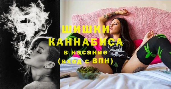 прущие грибы Вяземский