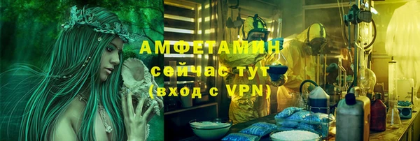 прущие грибы Вяземский