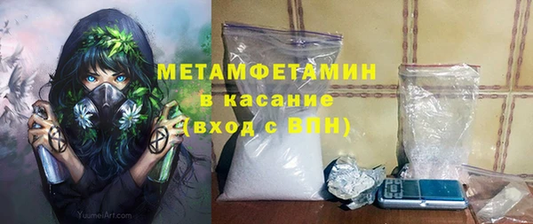 прущие грибы Вяземский