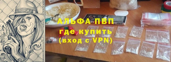 ПСИЛОЦИБИНОВЫЕ ГРИБЫ Вязники
