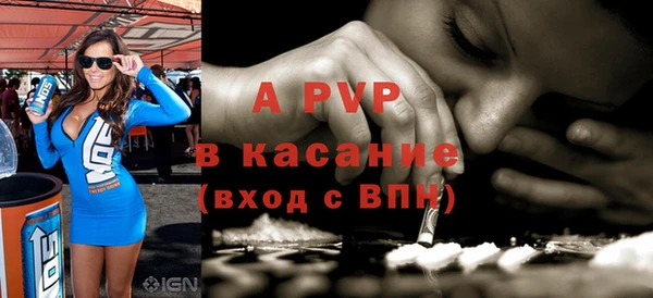 ПСИЛОЦИБИНОВЫЕ ГРИБЫ Вязники