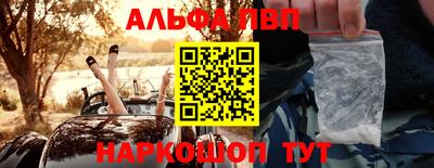 шишки Славгород