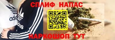 гашик Сланцы